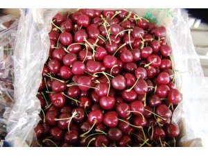 Kiraz ve üzümüne 12 ay ihracat