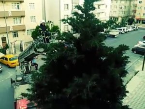 Yuvadan düşen saksağan yavruları için seferber oldular