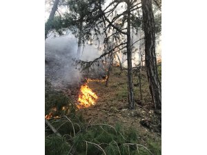 Eskişehir'de orman yangınları