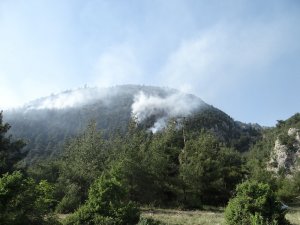 Bilecik’te orman yangını, 2 dekar alan kül oldu