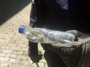 Fatih’te eve giren yılan paniğe neden oldu