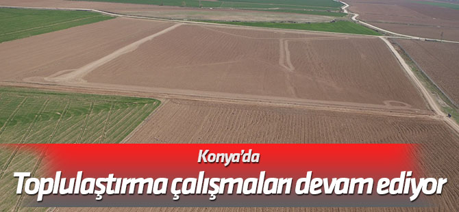 Konya’da toplulaştırma çalışmaları devam ediyor