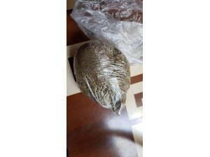Erzurum’da 1 kilogram bonzai ele geçirildi