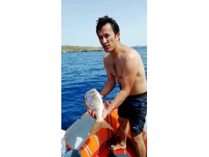 Denizde kaçak av denetimi