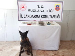 Fethiye’de uyuşturucu operasyonu: 2 gözaltı