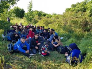 Ormanda böyle yakalandılar