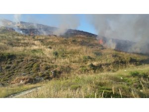Erdek’te korkutan yangın