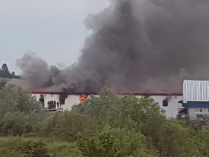 Bosna Hersek’te göçmen kampında büyük yangın: 30 yaralı