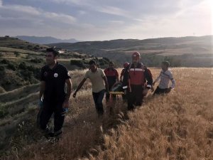 Eşeğinden düşüp 200 metrelik uçuruma yuvarlandı