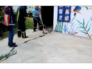 Tuvalete giren 2 metrelik yılan korkuttu