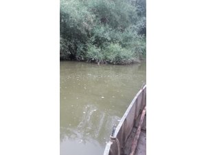 Dört gündür kayıp olan şahsın cesedi bulundu