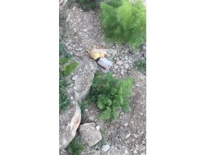 Yüksekova’da bulunan EYP imha edildi