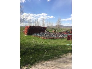 Seydişehir'de hırsızlık