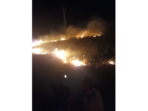 Hatay’da kayalık arazide ot yangını