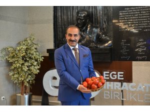 Domates ihracatından 603 milyon dolarlık gelir