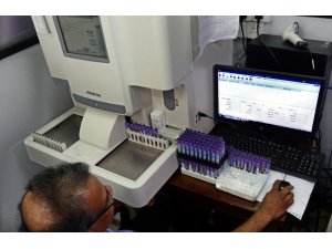 Sri Lanka’da Dang Humması salgını: 28 ölü