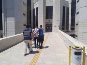 Edremit’te bar sahibi polislere pitbul köpeği ile engel olmak istedi