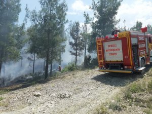 Acıpayam’da çıkan orman yangını 2 saatte söndürüldü