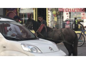 Kars’ta ürken at araca çarparak durdu