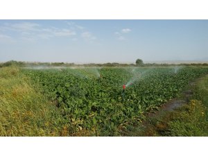 2019 Yılı bireysel sulama hibe hakkı kazanan çiftçiler açıklandı