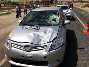 Midyat’ta trafik kazası: 1 yaralı