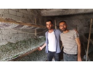 Sason’da ipek böceği yetiştiriciliği yaygınlaşıyor