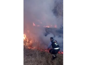 Van Kalesi’nin güneyinde ot yangını