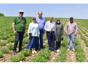 Adana’da tarımsal ürün çeşitliliği artıyor