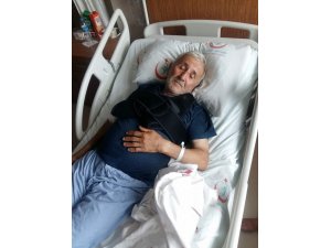Ağaçtan düşen şahıs yaralandı