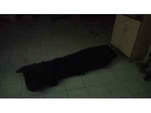 Başkent’te sel bilançosu: 3 ölü