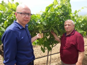 Hem ihracatçılara hem de üreticilere hizmet veriyorlar