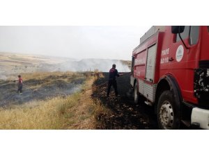 Buğday tarlasında yangın