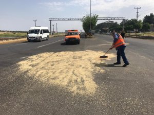 Şanlıurfa’da meydana gelen kazada arpa yola saçıldı