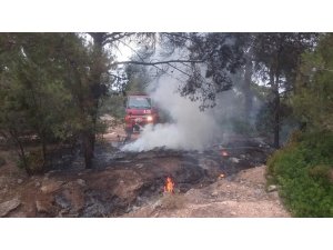 Orman yangını anında müdahaleyle söndürüldü
