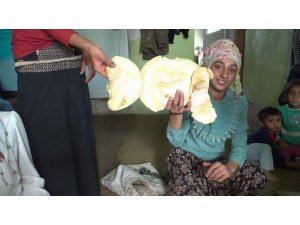 Kilosu etten pahalı, köylülerin geçim kaynağı oldu