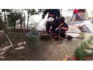 Evin bahçesine giren yılan yakalanarak doğaya bırakıldı