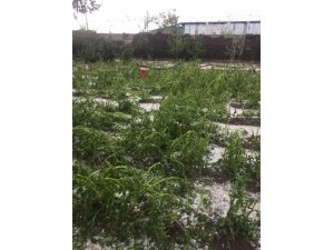 Konya'da dolu tarım arazilerine zarar verdi