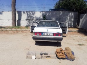 Saka kuşları pahalıya patladı