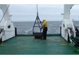 Kuzey Denizi’nde Mezolitik Çağ’a ait yerleşim yeri bulundu