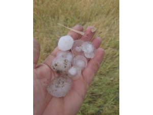 Kulu'daki dolu yağışı ekili alanlara zarar verdi