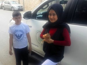 Yaralı sincap tedavi altına alındı