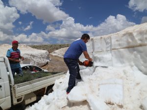 Toroslar'ın karı geçim kaynağı oldu