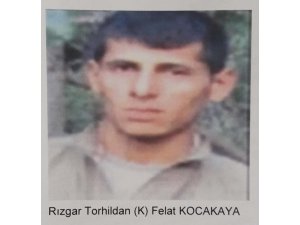 Lice kırsalındaki operasyondaetkisiz hale getirilen gri kategorideki teröristin; Rızgar Torhildan kod adlı Felat Kocakaya olduğu belirlendi
