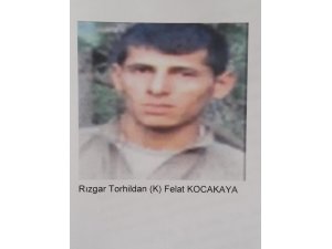 Etkisiz hale getirilen gri listede aranan teröristin bir çocuğu alıkoyduğu ortaya çıktı