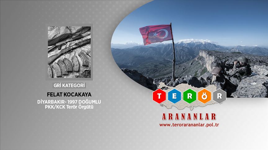 Gri kategorideki terörist etkisiz hale getirildi