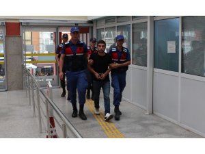 Ormanlık alana kenevir eken şahıs adliyeye sevk edildi