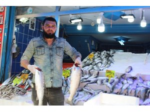 Balıkta çeşit çok, talep az