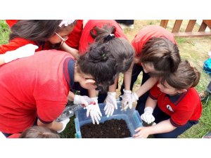 Öğrenciler kendi gübresini kendisi üretiyor