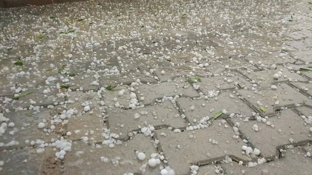 Çiftçi, dolu zararına destek istiyor