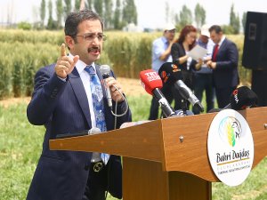Bakan Yardımcısı Aksu'dan Konya'da "dolu zararı" açıklaması: Devletimiz, çiftçimizin yanında